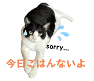 745608454