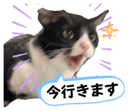 745608455