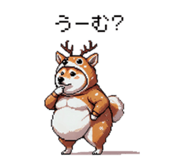 745609516