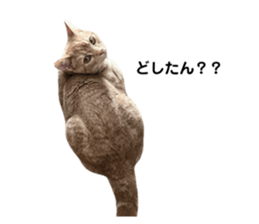 745625555