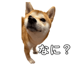 745630608