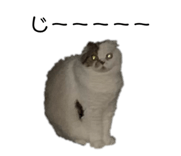745631535