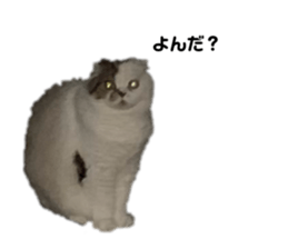 745631545