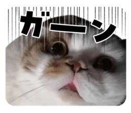 745631549