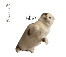 745631558