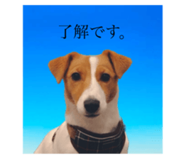 745632194