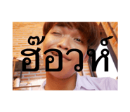 745633733