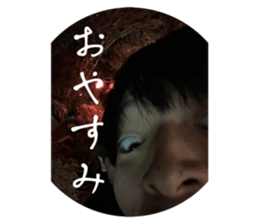745634066