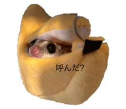 745636651
