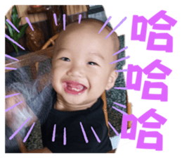 745640881