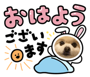 745646629