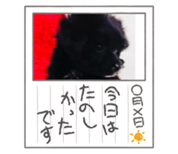 745648209