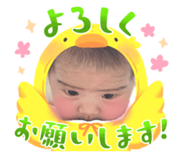 745648296