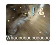 745659841
