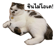 745663341