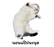 745663342