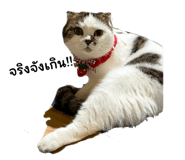 745663343