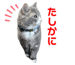 745666893