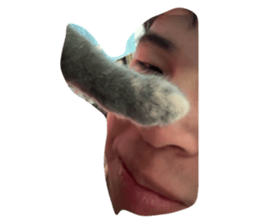 745686972