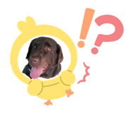 745693460
