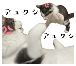 745709157