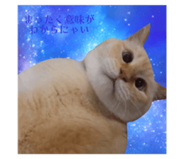 745719658