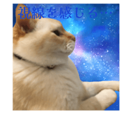 745719660