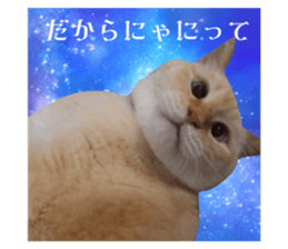 745719662