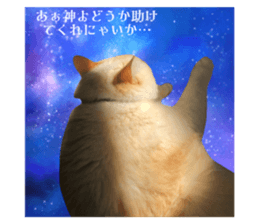 745719668