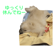 745721655