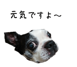 745723364