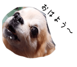 745723365