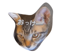 745730455