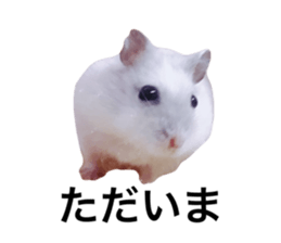 745752580