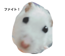 745752582