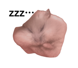 745752585