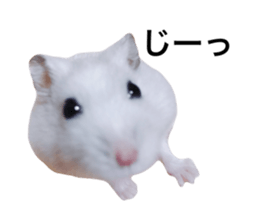 745752588