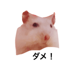 745752592