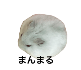 745752594