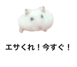 745752597