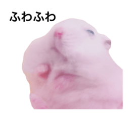 745752598