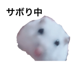 745752599