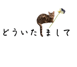 745761986