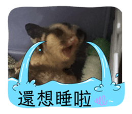 745765395