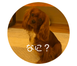 745772666