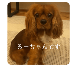 745772692