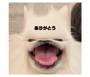 745774487