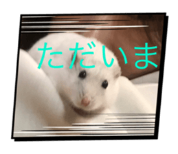 745779741