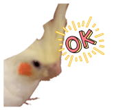 745787177
