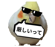 745787181